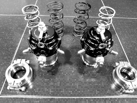 TiAl MV-S wastegates